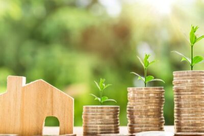 Cómo optimizar la organización de tareas en tu empresa