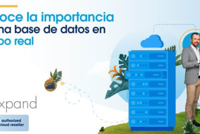 Ventajas y desventajas de una Base de Datos de Red
