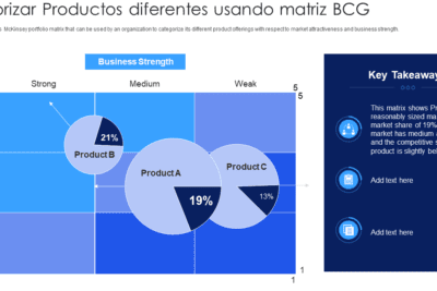 Matriz BCG: utilidad en ciclo de vida del producto