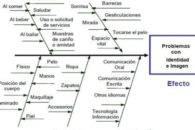 Implementación de diagrama de causa y efecto en una empresa
