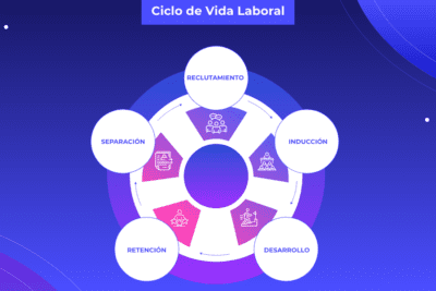 Etapas del ciclo de vida del producto y ejemplos
