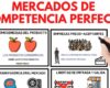 Qué se entiende por mercado de competencia perfecta