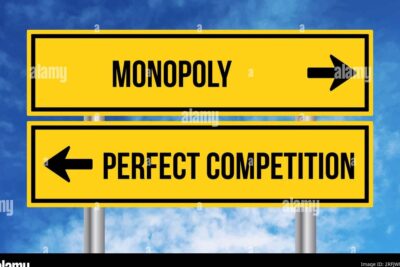Competencia Perfecta vs. Imperfecta: diferencias y efectos