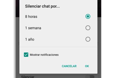 Servicio Común de Notificaciones y Embargos: qué es y cómo funciona