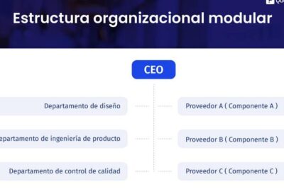 Pasos para crear un Sistema de Gestión del Capital Humano