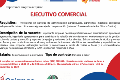 Cuál es la función de un ejecutivo comercial en una empresa