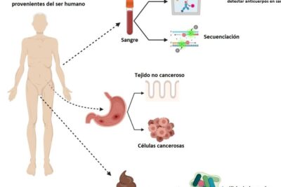 Cuándo se aplica el muestreo en la vida diaria
