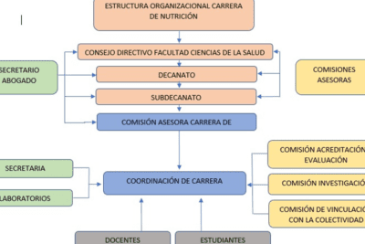 Estructura organizativa y roles en el organigrama de Coca-Cola