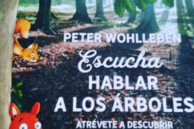 Título: Traduciendo la frase hoja de árbol al inglés