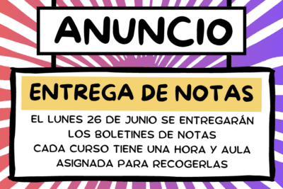 Qué incluye un boletín y cuál es su estructura habitual