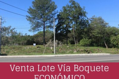 Cómo maximizar eficiencia con lote económico de inventario