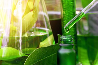 Transformación de materia prima para productos finales