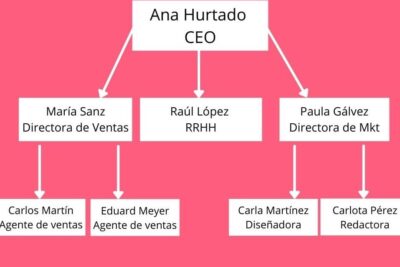 Organigrama de empresa de servicios: estructura y funciones
