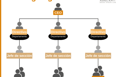 Cómo es el organigrama de una empresa de servicios