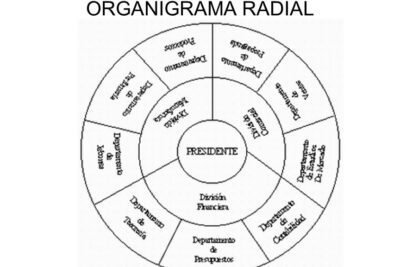 Organigramas Radiales: Cómo representan la jerarquía empresarial
