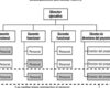 Características y ejemplos de organización lineal