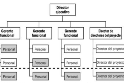 Características y ejemplos de organización lineal