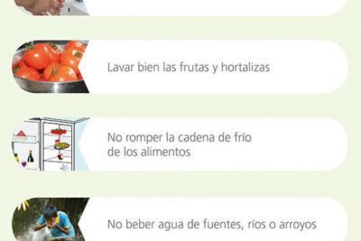 Cómo prevenir faltar al trabajo debido a la gastroenteritis