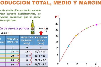 Qué es la Teoría de la Producción y su impacto económico actual