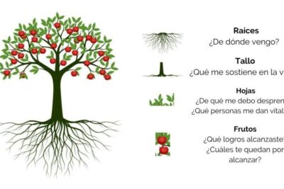 Cuál es la importancia del Proyecto de Vida según Maslow