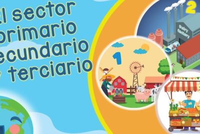 Actividades económicas y sus diferencias: ejemplos