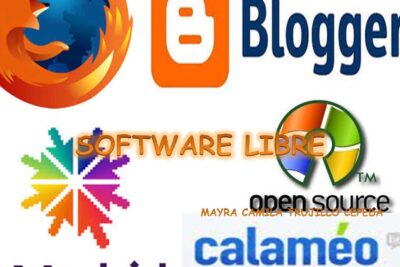 Cuáles son los pros y contras del software libre